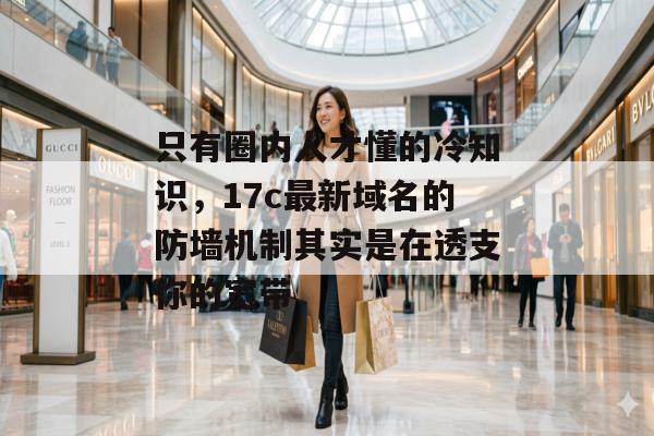 只有圈内人才懂的冷知识，17c最新域名的防墙机制其实是在透支你的宽带